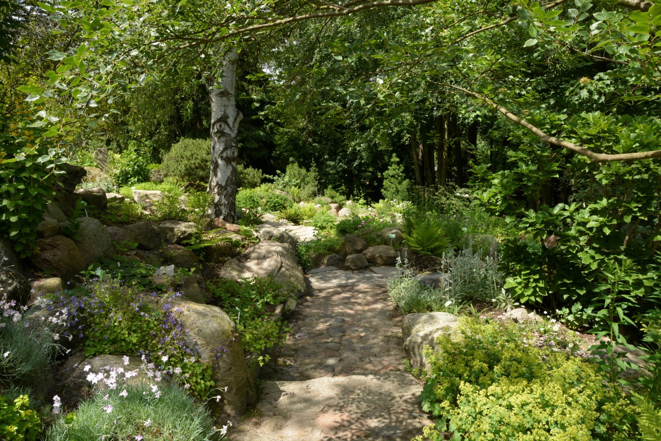 Ogród Botaniczny UAM