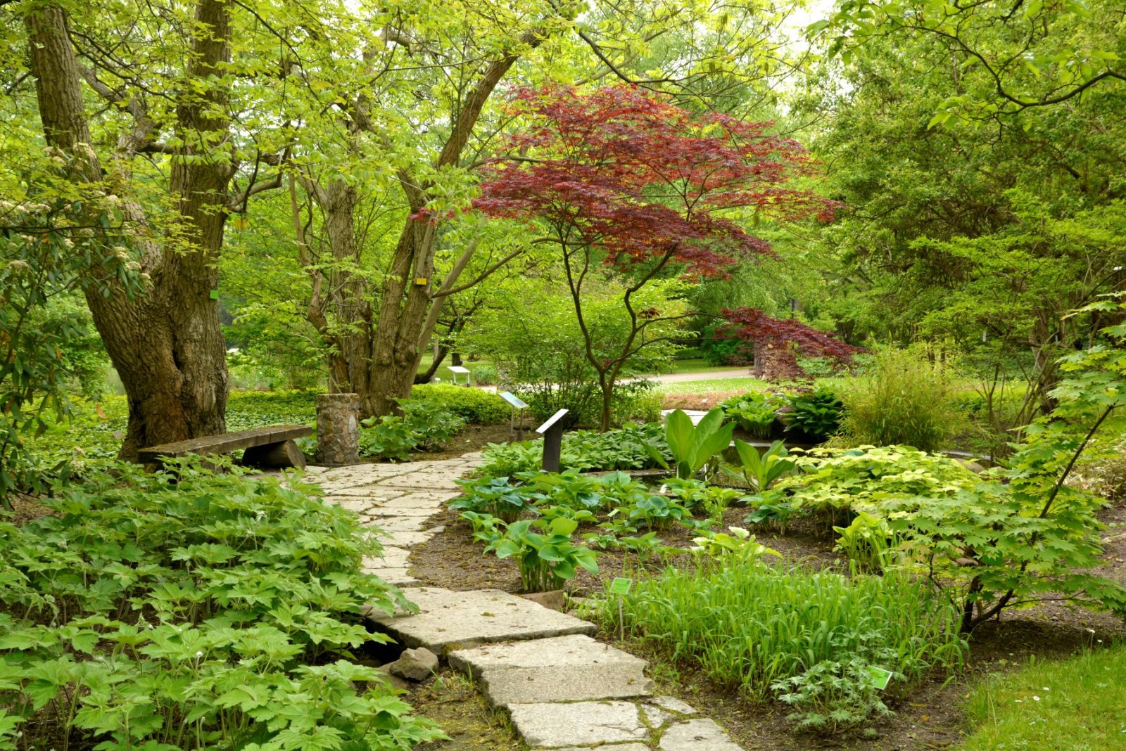 Dział Geografii Roślin